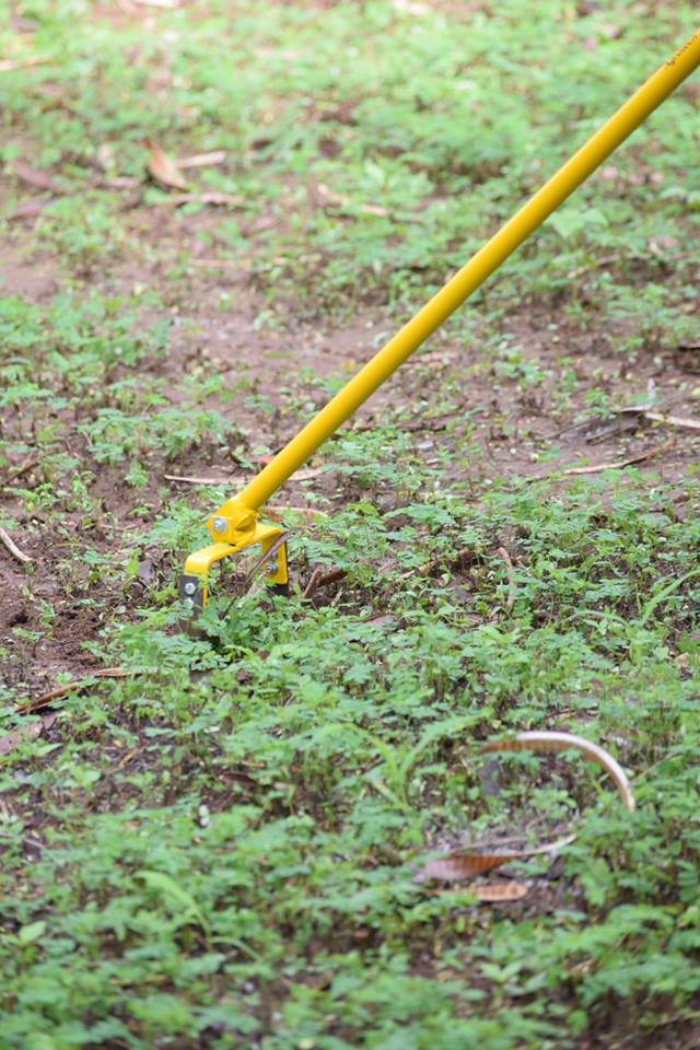 Made in India - Buy Hand Weeder With Handle Weeding Hoe at Best Price