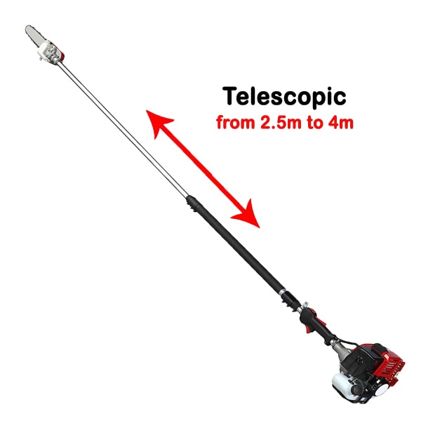 Neptune Buy Telescopic Pole Pruner, 4 meter, 14 feet, 2